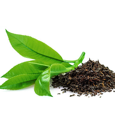  treat dandruff at home with green tea