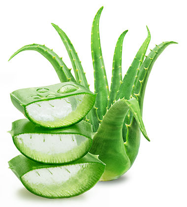 dandruff treatment at home with aloe vera 