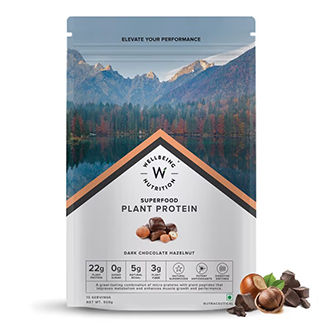 Wellbeing Nutrition Superfood Plant Protein Isolate