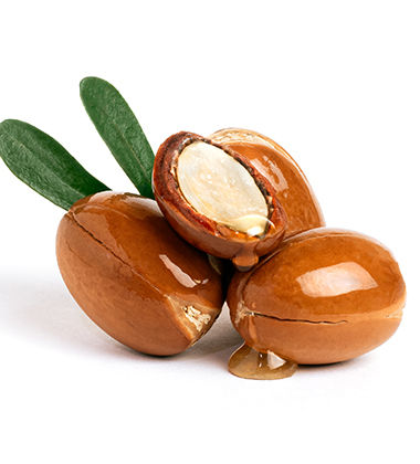 argan nuts