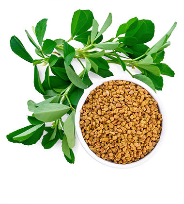 fenugreek seeds in a bowl