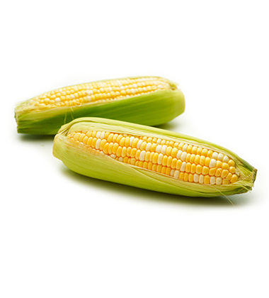 Sweet Corn