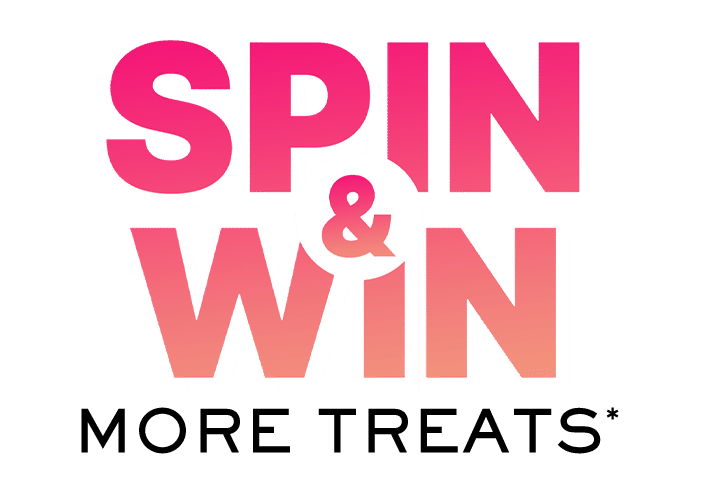 spin the wheel logo