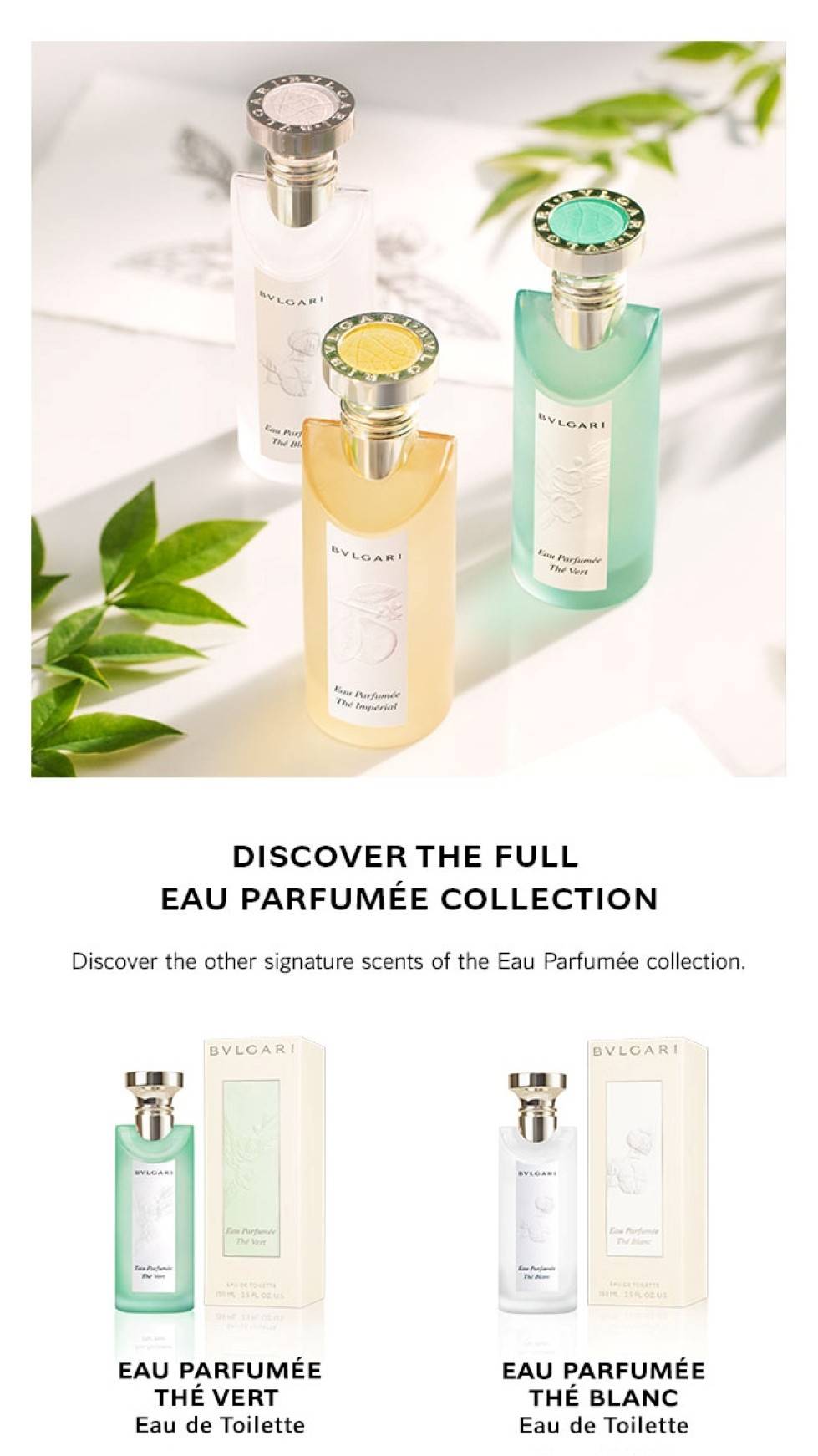 Buy BVLGARI Eau Parfumee The Blanc Eau De Toilette Online